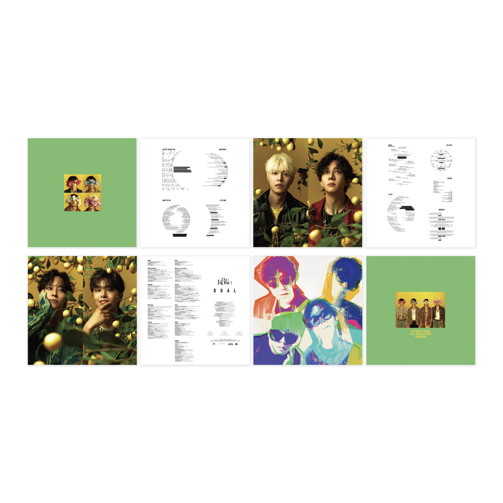 Usglobal The Rose 2nd Full Album Dual Vinyl Dawn Ver Official The Rose Shop 0530