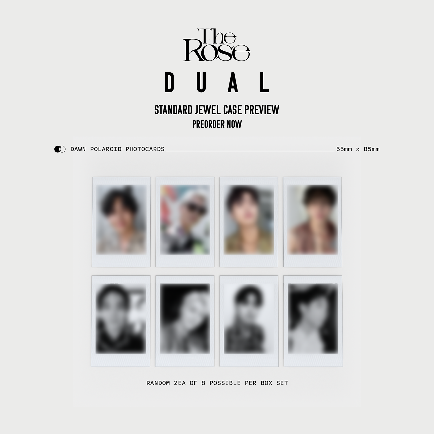 [US/Global] The Rose 2nd Full Album 'DUAL' Jewel Case Album (Dawn Ver.)